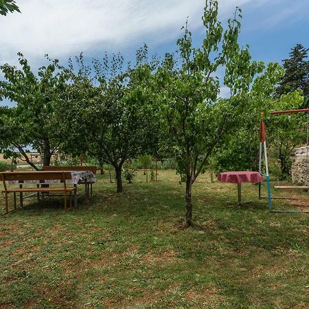 Apartments Mijat Novigrad  Zewnętrze zdjęcie