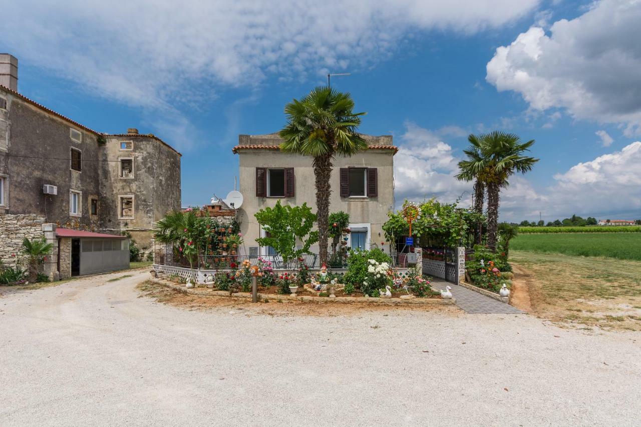 Apartments Mijat Novigrad  Zewnętrze zdjęcie