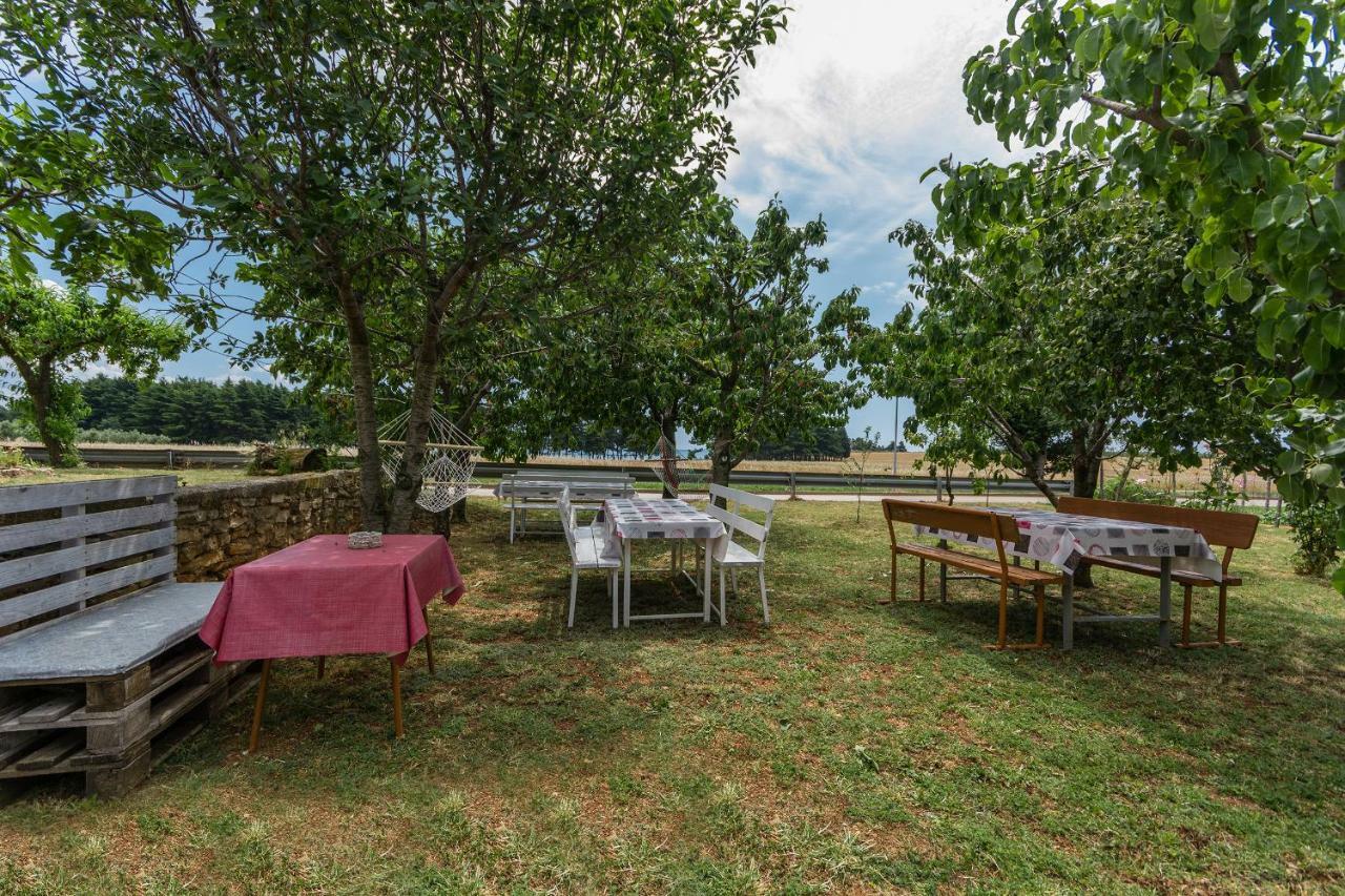 Apartments Mijat Novigrad  Zewnętrze zdjęcie