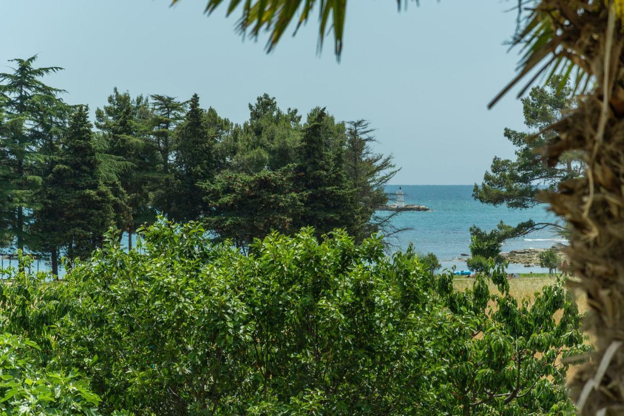 Apartments Mijat Novigrad  Zewnętrze zdjęcie