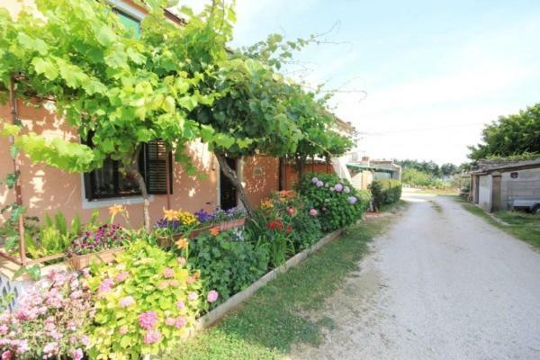 Apartments Mijat Novigrad  Zewnętrze zdjęcie